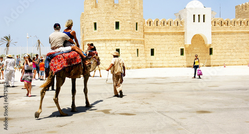 Camellos para turistas en el puerto de La Goulette, Túnez