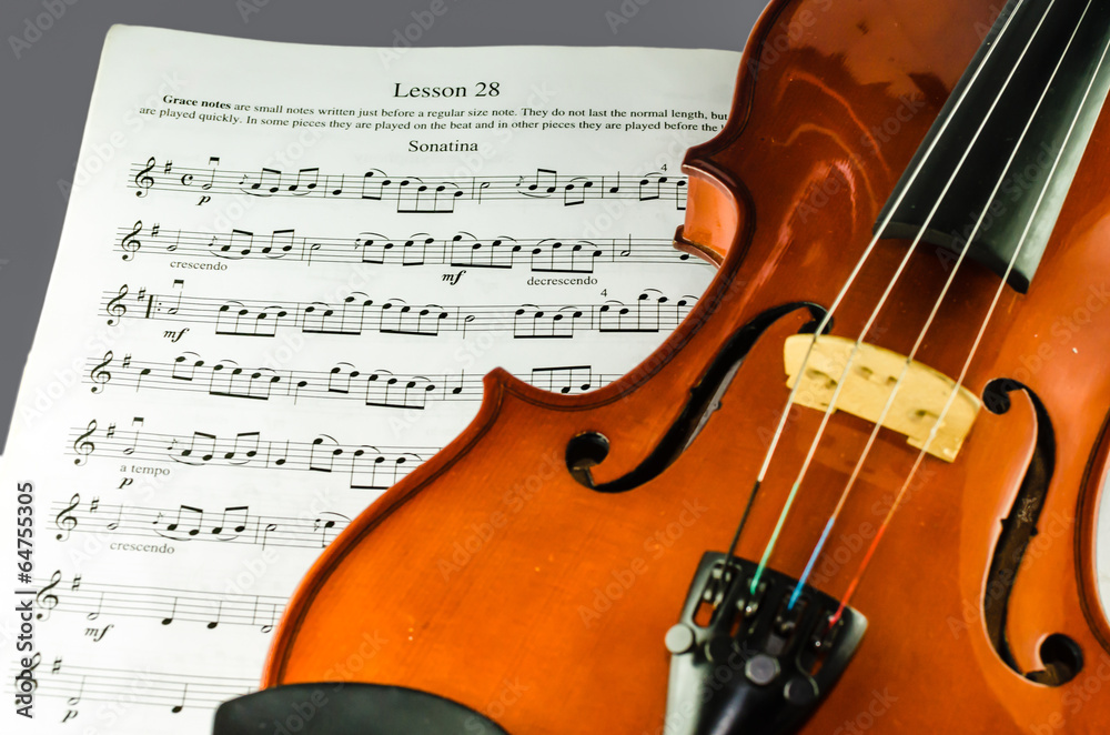 Fototapeta premium Violin on note sheet