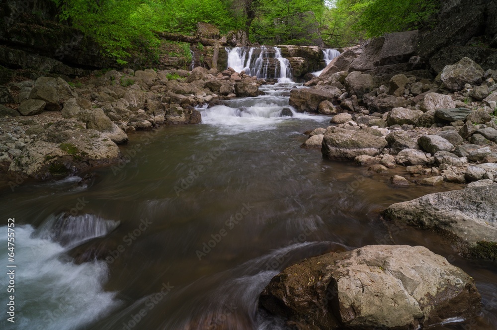 Forest waterfall in summer day Forest waterfall in summer day