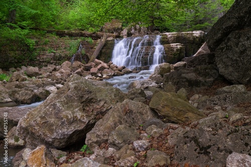 Forest waterfall in summer day