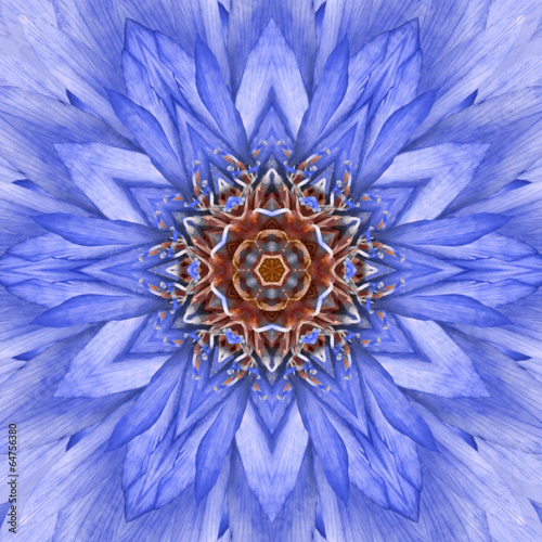 Blue Concentric Flower Center Mandala Kaleidoscopic design
