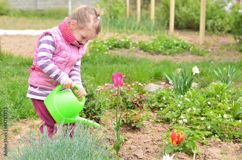 Watering flowers