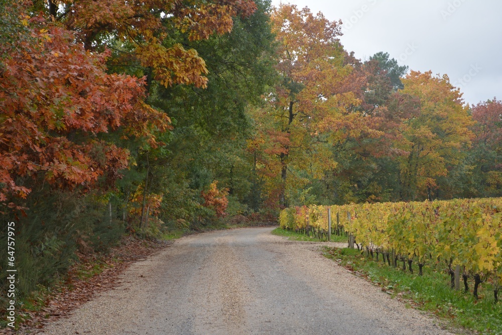 Automne en Gironde