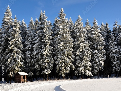 Unterwegs am Rennsteig photo