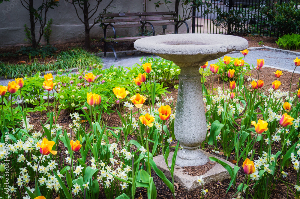 Obraz premium Old Bird Bath in the Park