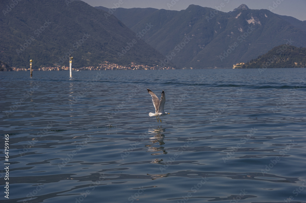 Obraz premium lago di como