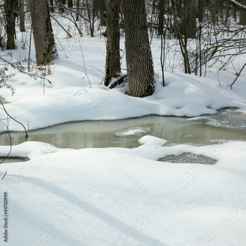 Stream flowing through snow covered landscape, Orangeville, Duff © bruno135_406