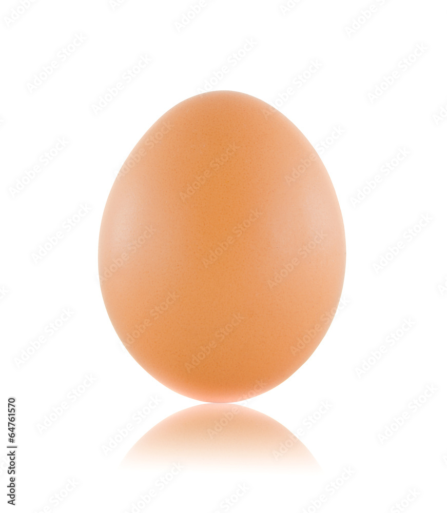 Egg isolated on white background Egg isolated on white background