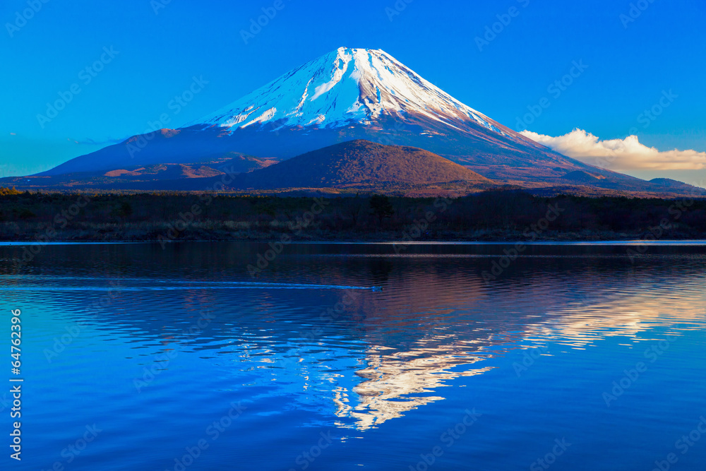 World Heritage Mount Fuji and Lake Shoji II
