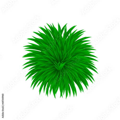 Gras