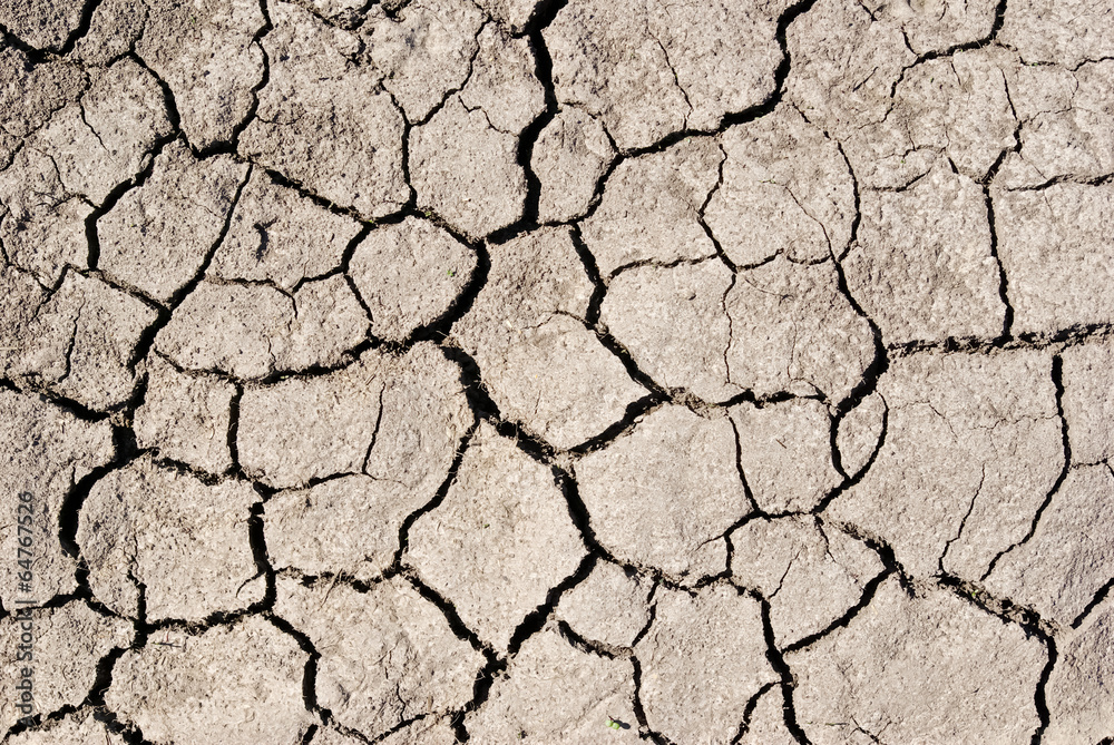 The texture cracked ,dry the surface of the earth The texture cracked ,dry the surface of the earth