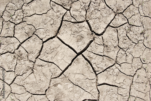 The cracks on the parched earth