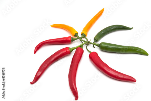 Bunte Chilis im Kreis