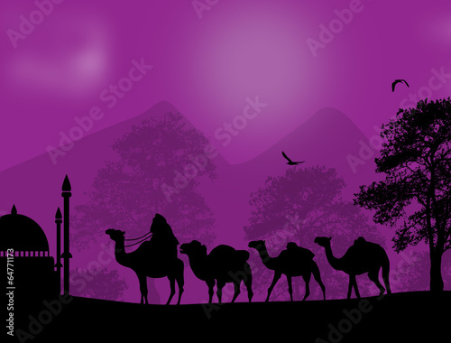 Bedouin camel caravan