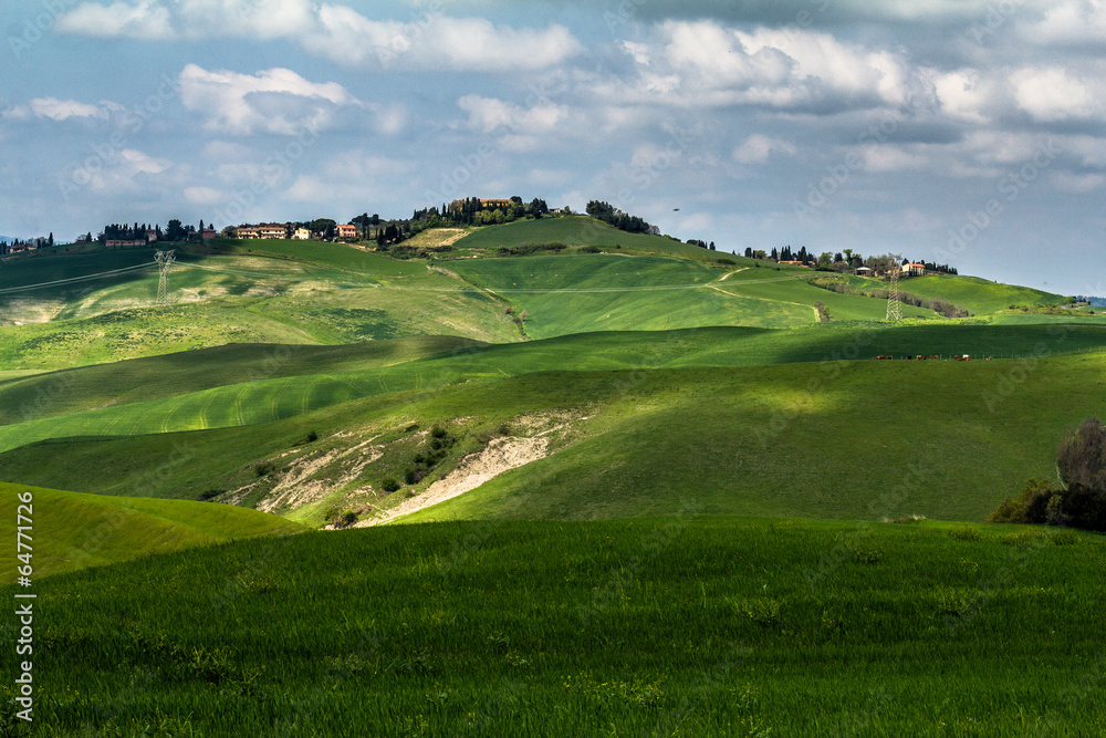 Obraz premium Colli toscani