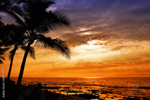 Hawaiian sunset with tropical palm tree silhouettes