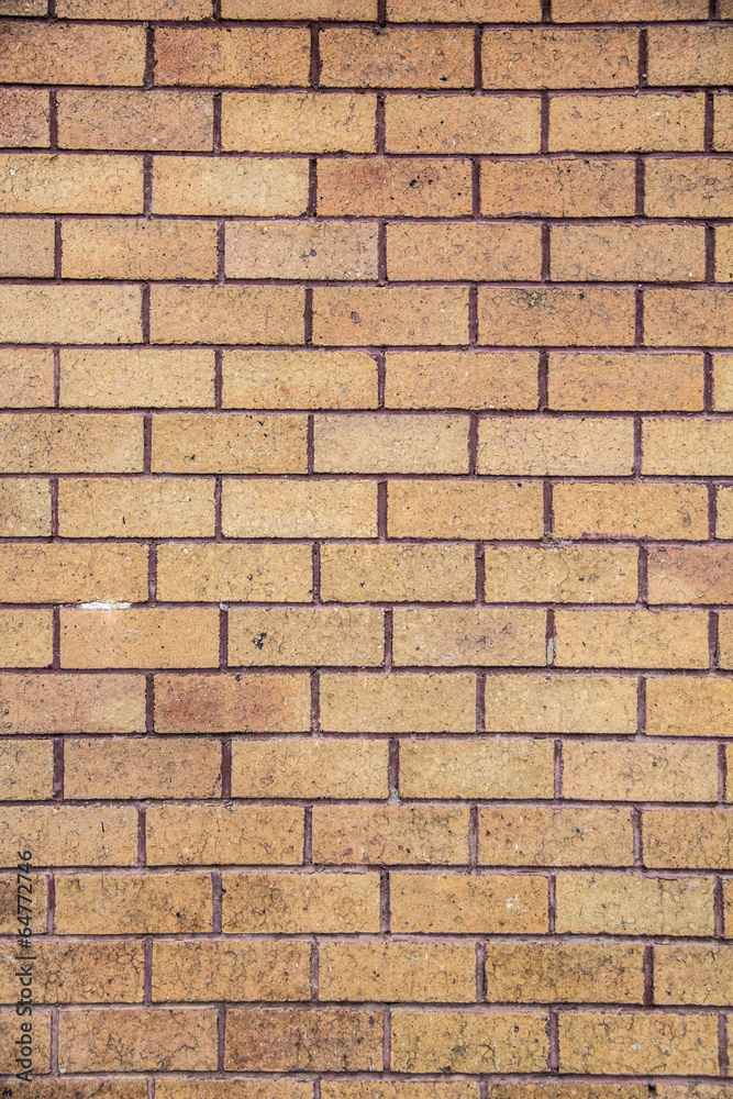 Fototapeta premium Abstract background with old brick wall