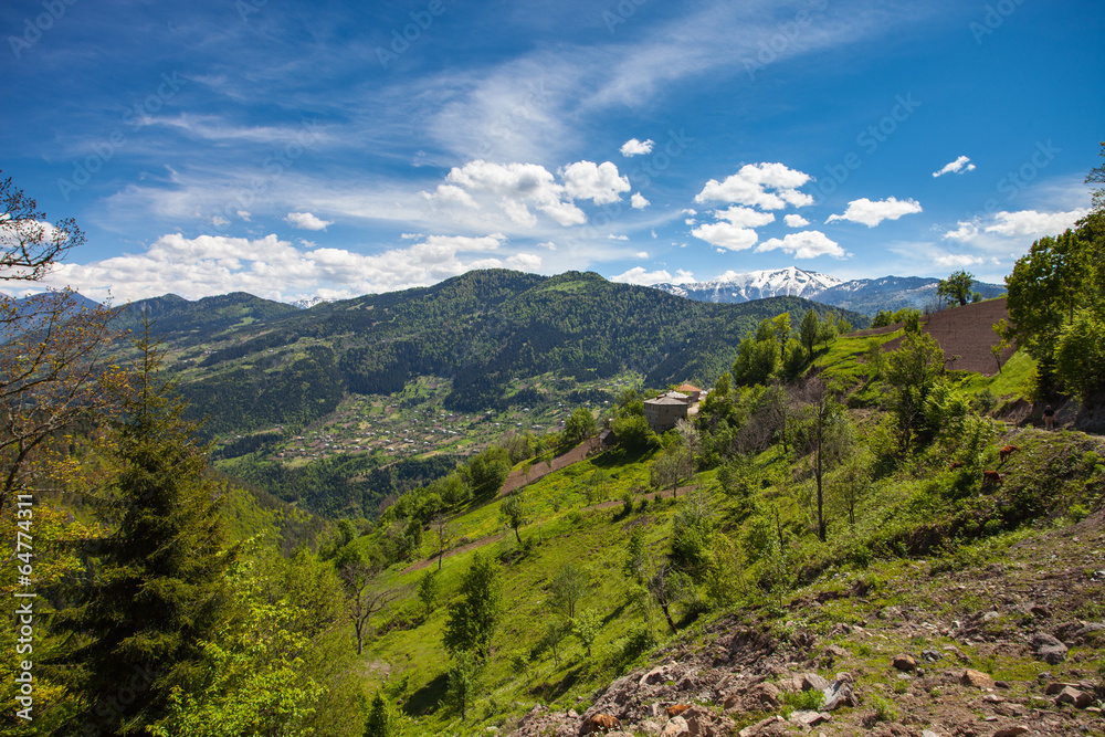 Mountain landscape in Georgia Kaukaz with beautiful sky and tree