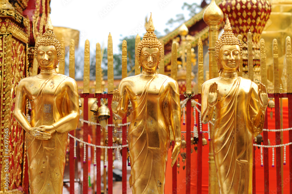 Fototapeta premium golden buddha statue, Chiangmai , Thailand