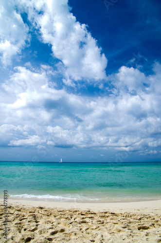 Fototapeta Naklejka Na Ścianę i Meble -  tropical sea