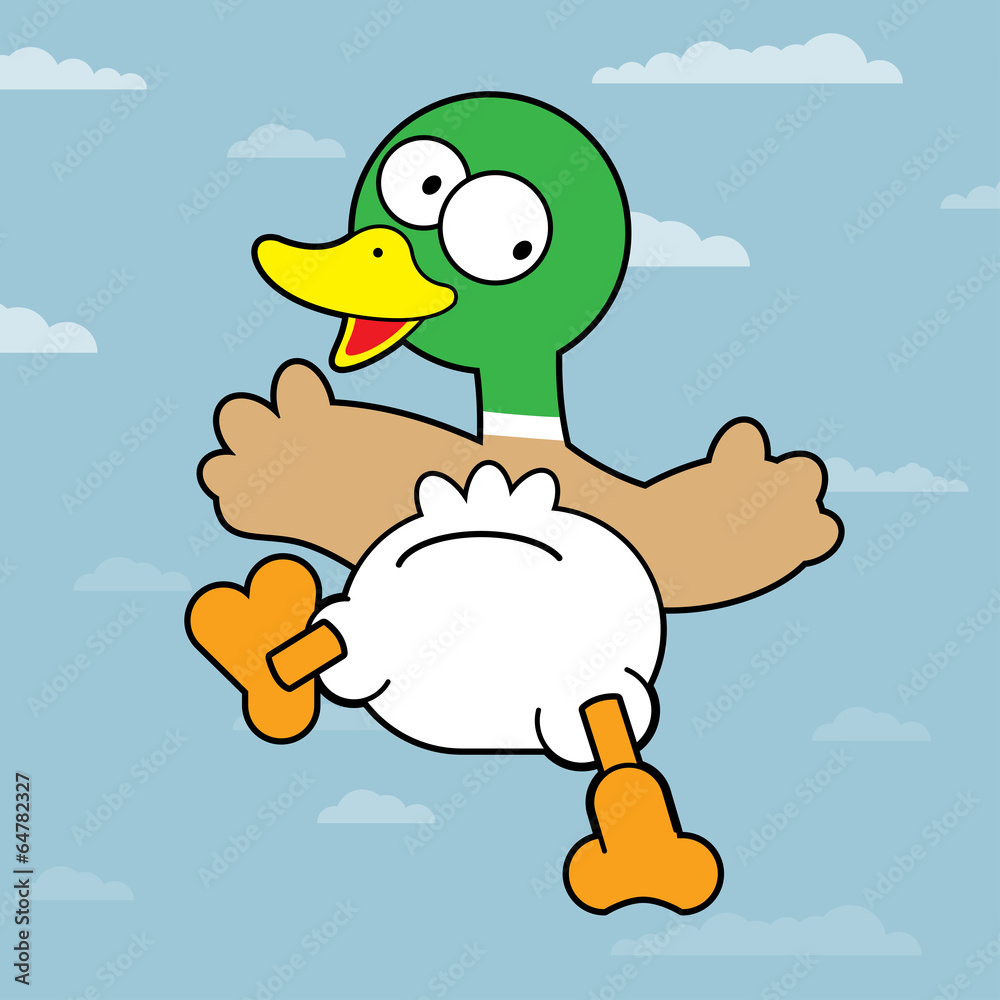 Mallard Duck Mallard Duck