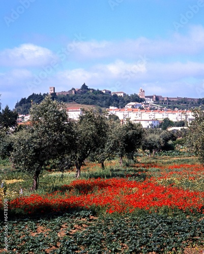 Town and field, Portel, Portugal © Arena Photo UK photo