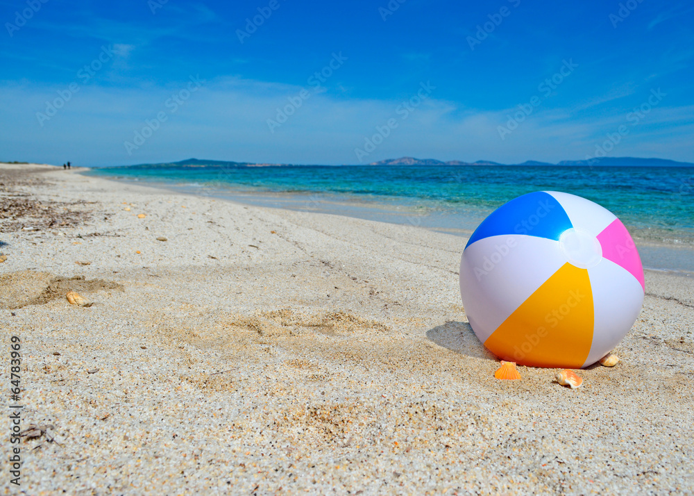 Obraz premium ball on the shore