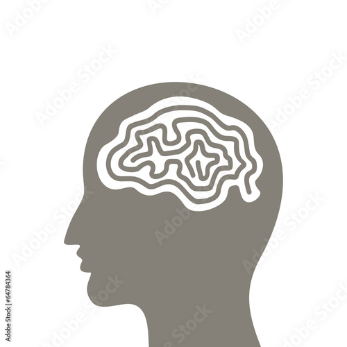 Head a brain
