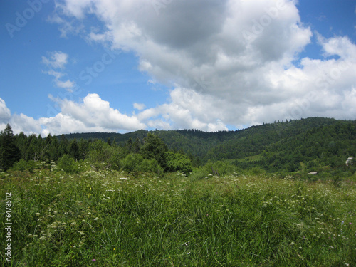 view to Carpathian mountains