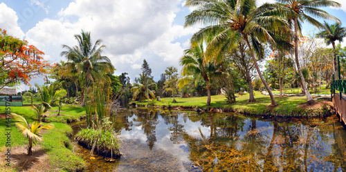 Fototapeta Naklejka Na Ścianę i Meble -  cuban country landscape