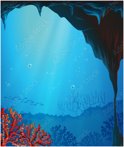 Corals inside the seacave