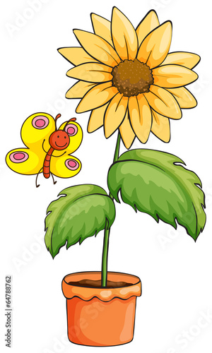 A sunflower and a butterfly