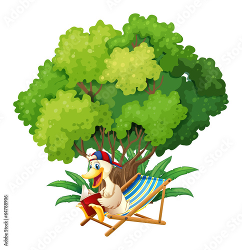 A duck reading under the tree