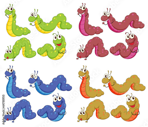 A group of caterpillars