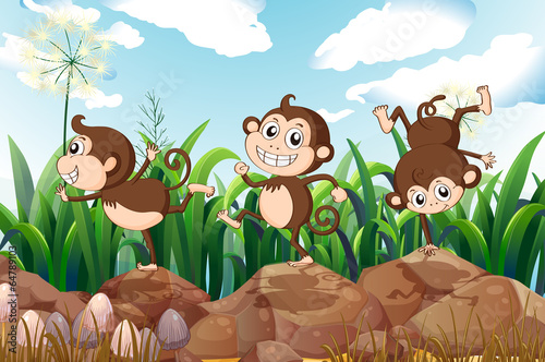 Three energetic monkeys