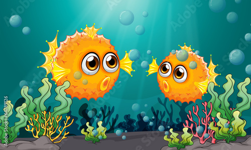 Two puffer fishes under the sea