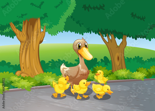 A mother duck and her ducklings at the road