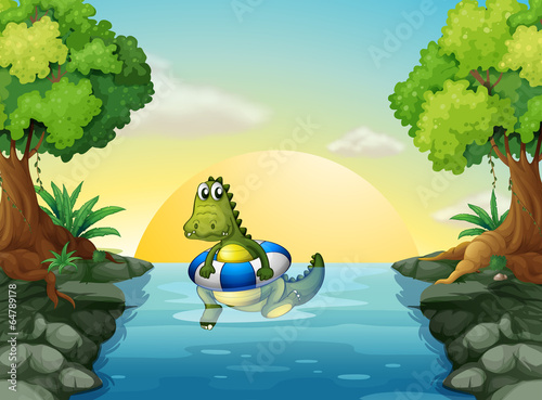 A crocodile at the river