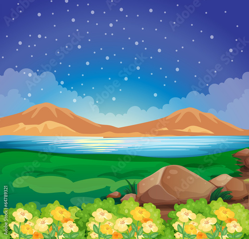 A view of the environment