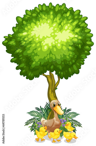 A duck and her ducklings under the tree