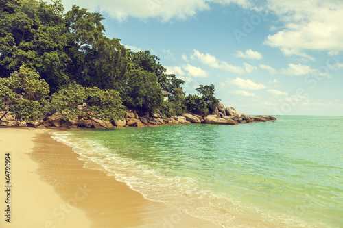 tropical landscape