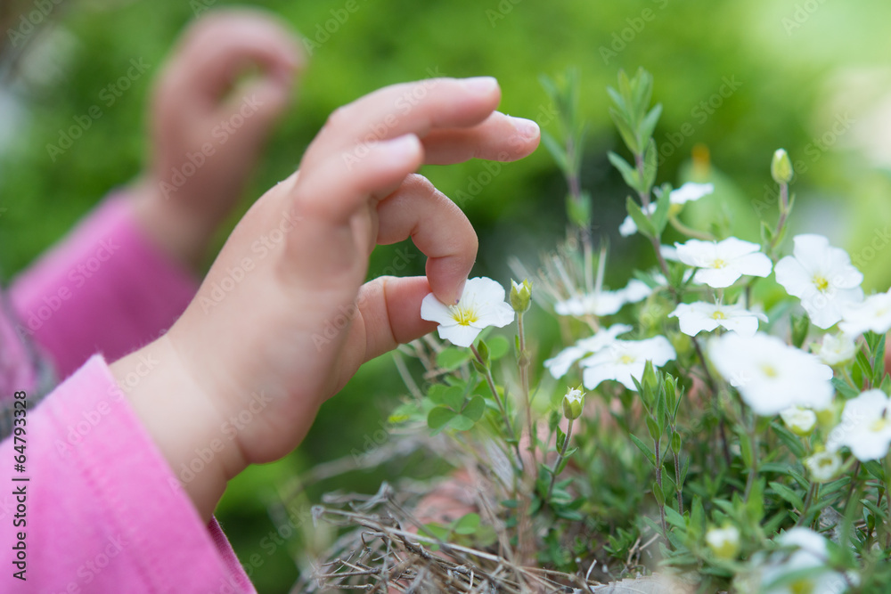 花を触る子供の手