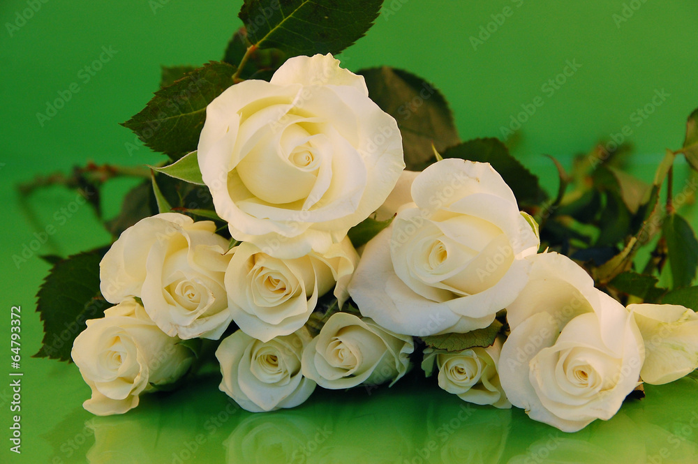 Obraz premium Rosenstrauß