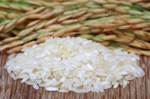 Paddy seeds with rice