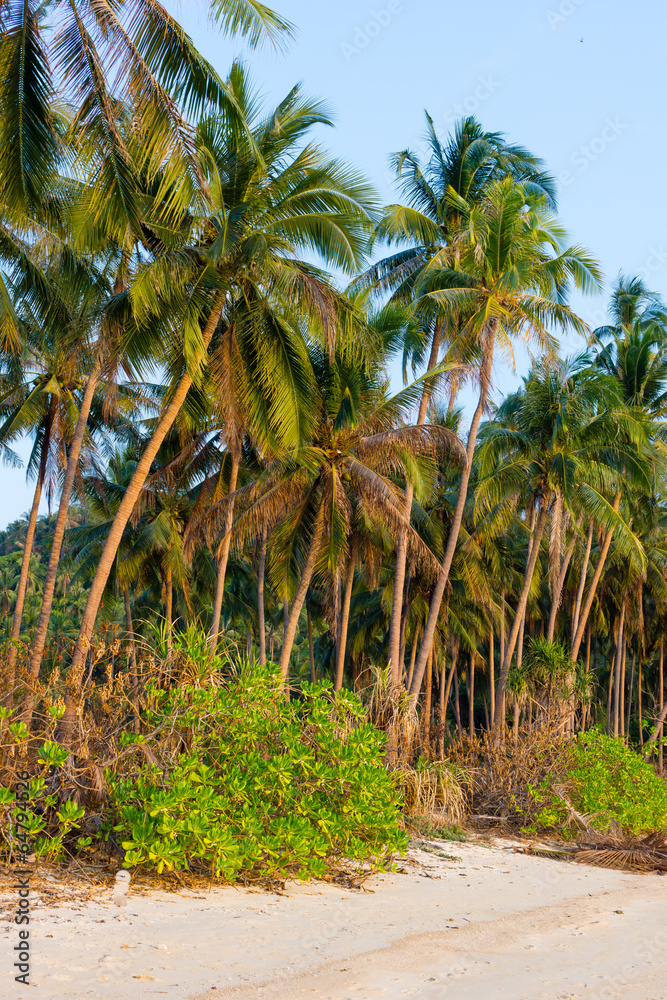 Untouched tropical beach Untouched tropical beach