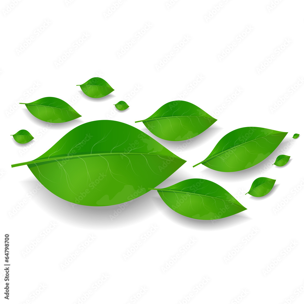 Many green leaves on the grey background Many green leaves on the grey background