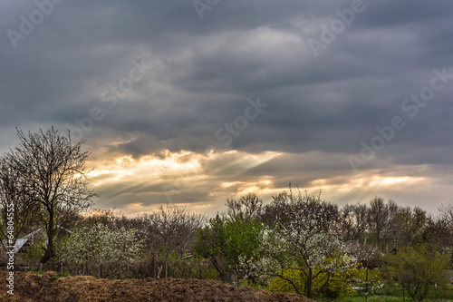 rural landscape