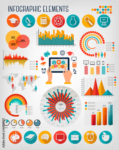 Education infographics. Vector.