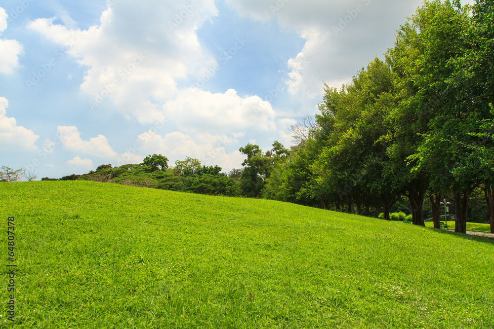 Park Park