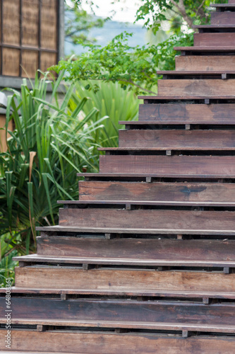 Stairway in the jungle © wthitiworasith